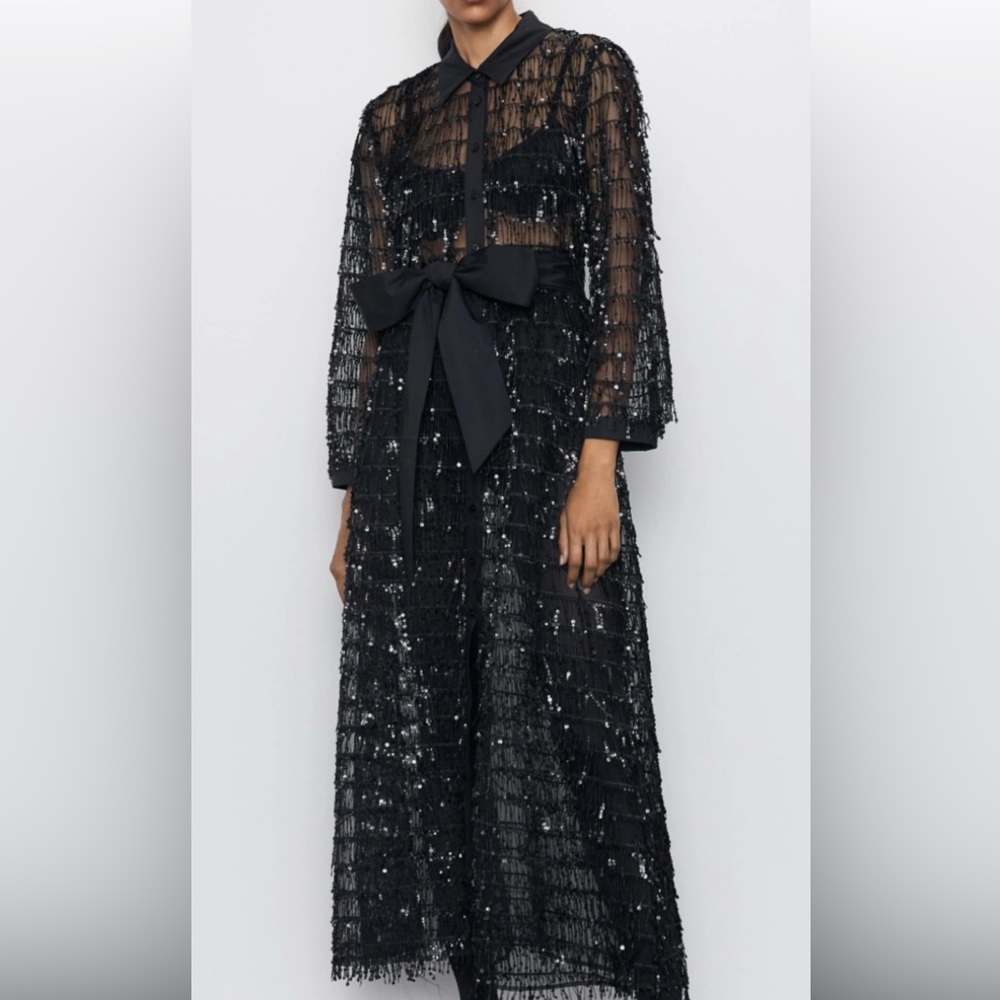 Zara sequin dress